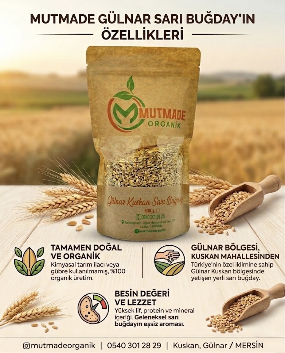 Yerli Sarı Buğday 500g